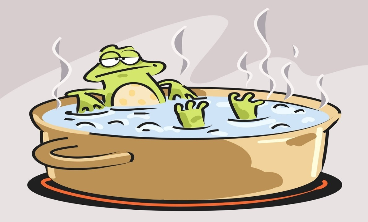 The Boiling Frog Analogy